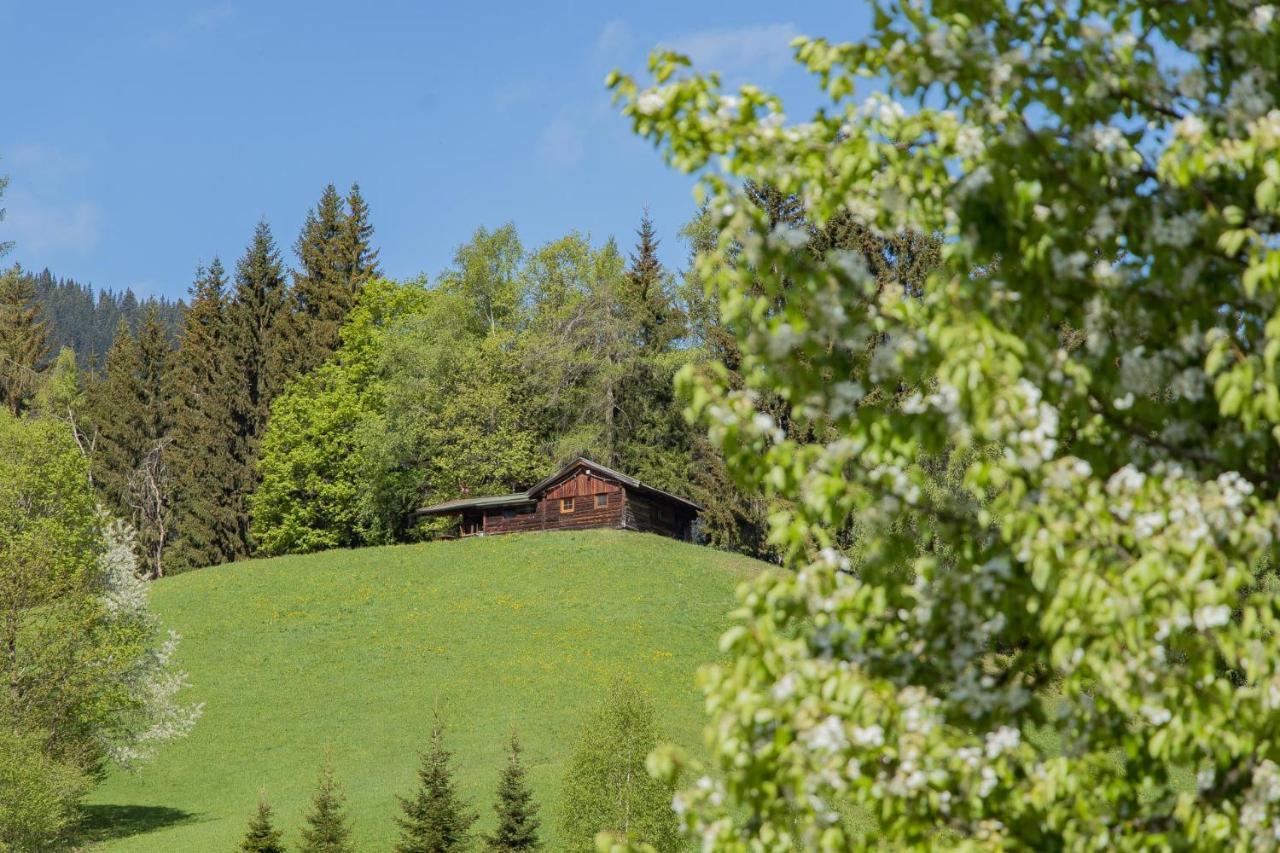 Landhotel Hinteraigengut Flachau Eksteriør bilde